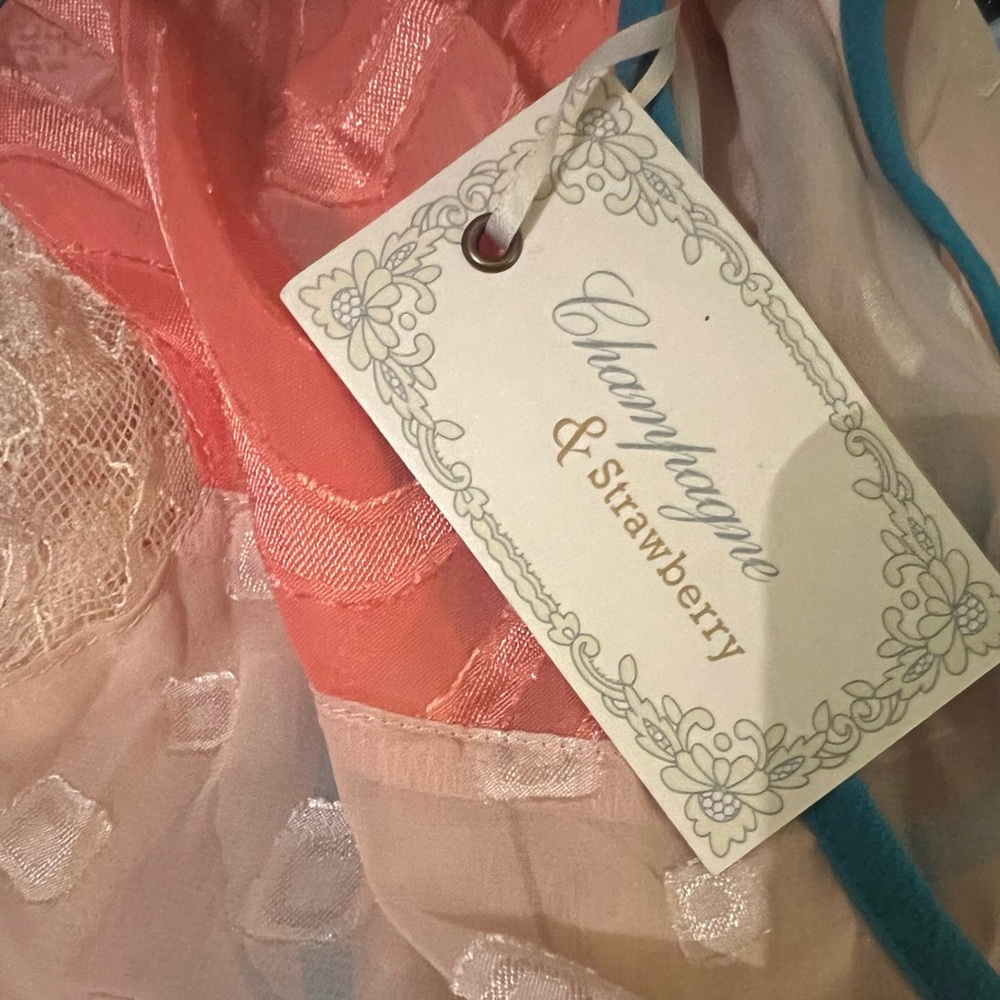 Anthropologie dress- Champagne & Strawberry - Picture 6 of 8